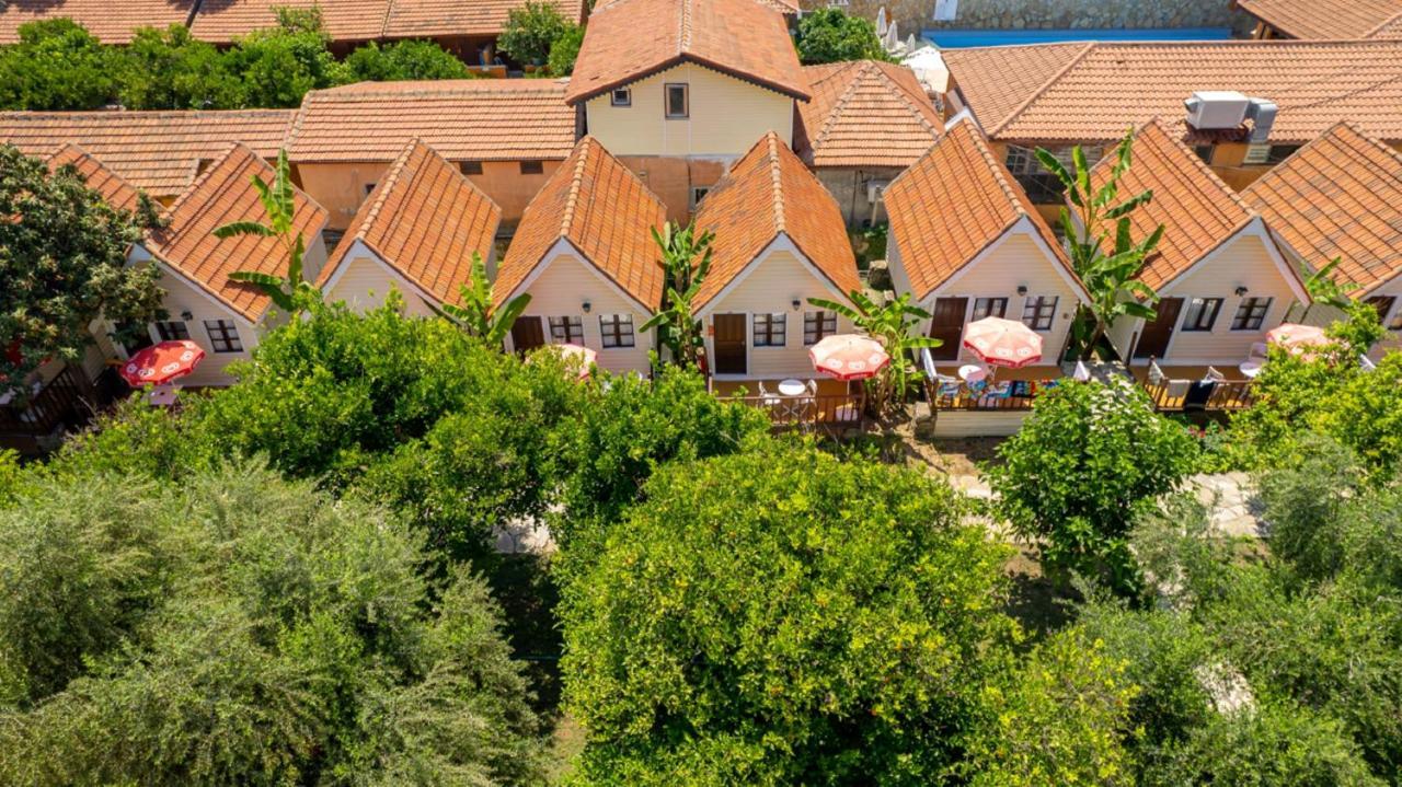 Clover Magic Nova Beach Hotel Side Exterior photo